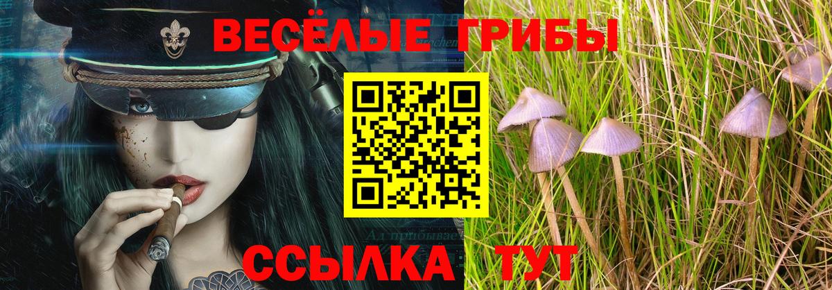 Амурск  купить закладку  Вход с VPN  Псилоцибиновые грибы ЛСД 