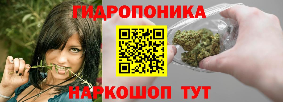 Бошки марихуана White Widow Амурск